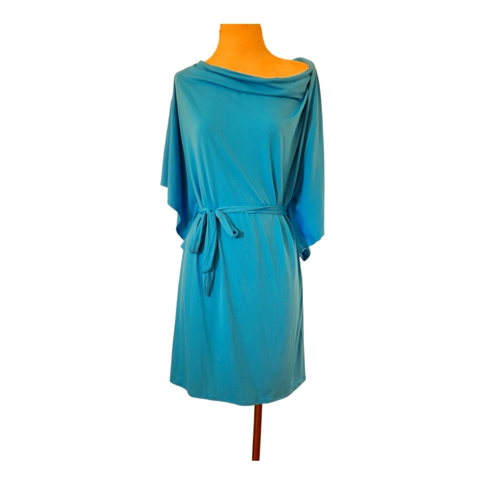 Ashley Stewart Dress